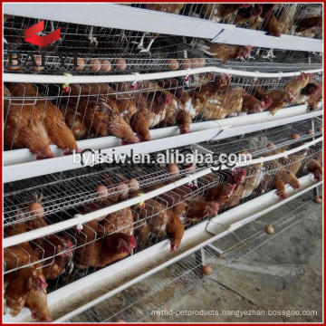 Steel Wire Pigeon Cage Factory